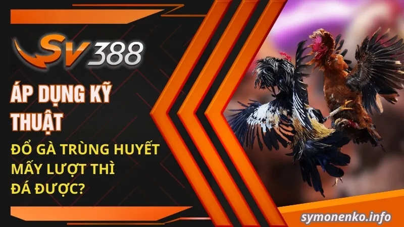 Kỹ thuật Đổ Gà Đá Hiệu Quả Để Chọn Ra Giống Tốt Nhất 6 Áp dụng kỹ thuật đổ gà trùng huyết mấy lượt thì đá được?