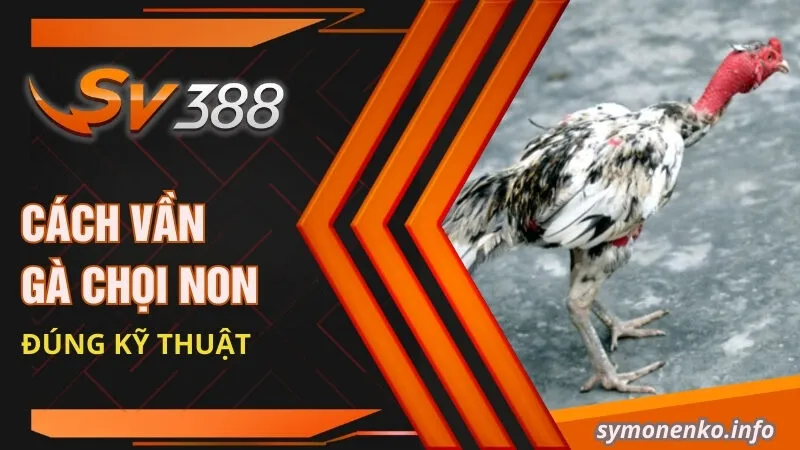 Cách Vần Gà Chọi Non: Tuyệt Chiêu Giúp Chiến Kê Toàn Thắng 4 Cách vần gà chọi non đúng kỹ thuật
