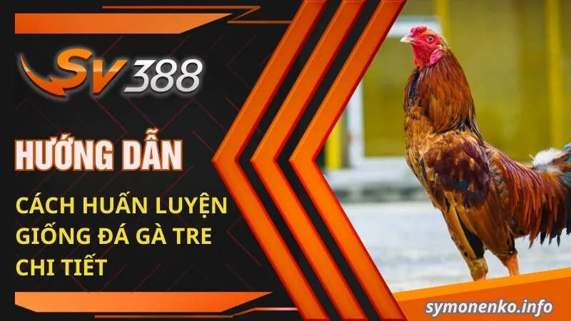 Hướng dẫn cách huấn luyện giống đá gà tre chi tiết