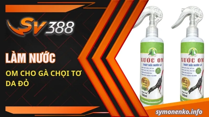 Cách Om Gà Chọi Tơ Cực Đơn Giản Và Hữu Hiệu Cho Sư Kê 5 Làm nước om cho gà chọi tơ da đỏ