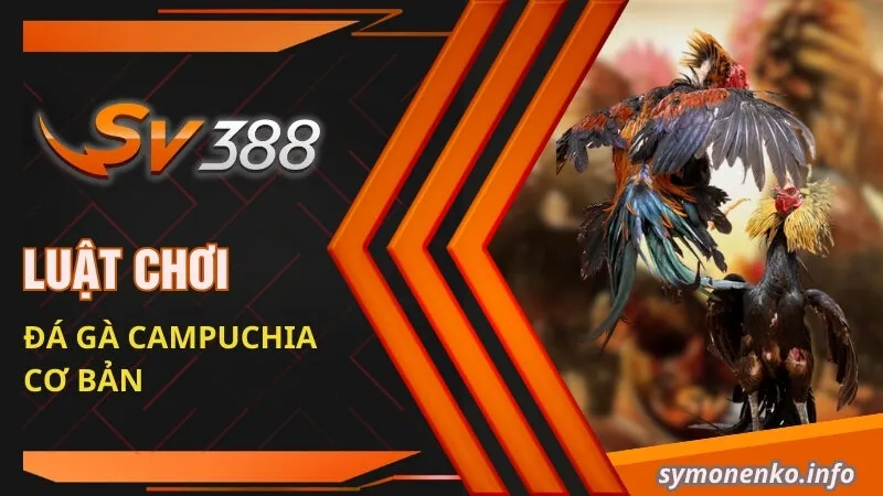 Đá Gà Campuchia - Hành Trình Chinh Phục Sân Đấu Của Những Chiến Kê 3 Luật chơi đá gà Campuchia cơ bản
