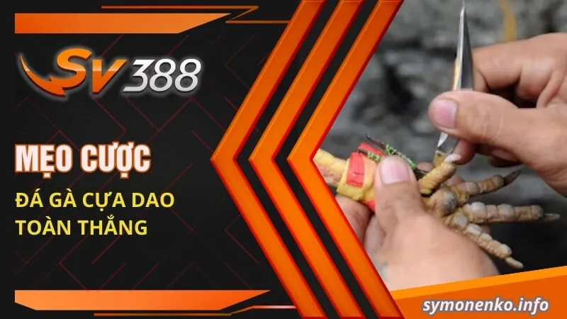 Đá Gà Cựa Dao: Luật Chơi Và Mẹo Cược Đá Gà Cực Chuẩn 5 Mẹo cược đá gà cựa dao toàn thắng