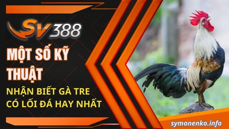 Một số kỹ thuật nhận biết gà tre có lối đá hay nhất