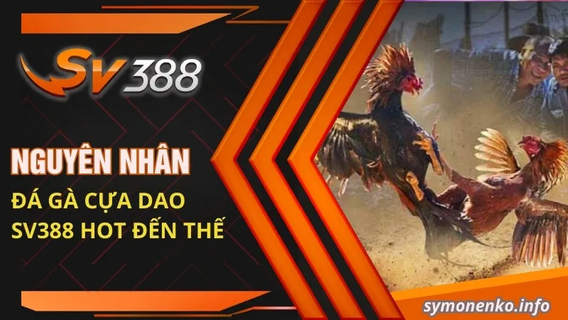 Đá Gà Cựa Dao: Luật Chơi Và Mẹo Cược Đá Gà Cực Chuẩn 3 Nguyên nhân đá gà cựa dao Sv388 HOT đến thế