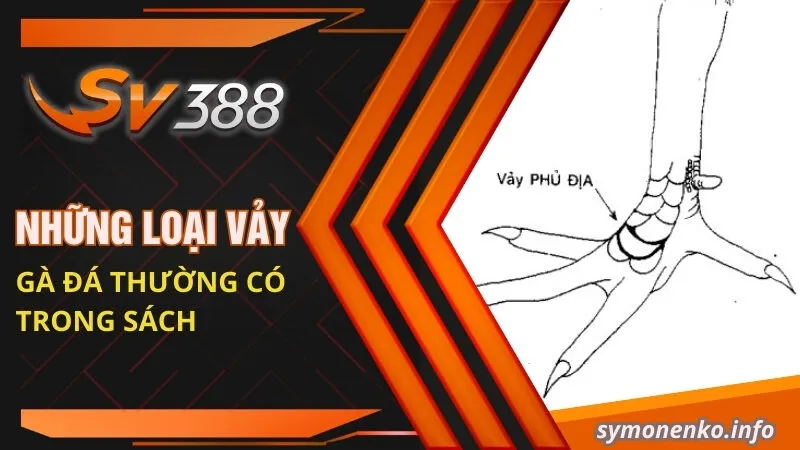 Những loại vảy gà đá thường có trong sách