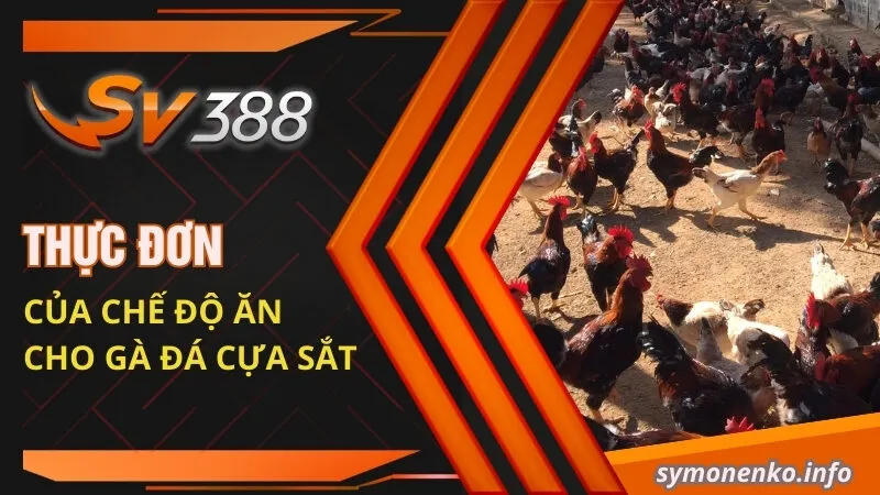 Thực Đơn Chế Độ Ăn Cho Gà Đá Cựa Sắt Hiệu Quả Nhất 2025 3 Thực đơn của chế độ ăn cho gà đá cựa sắt