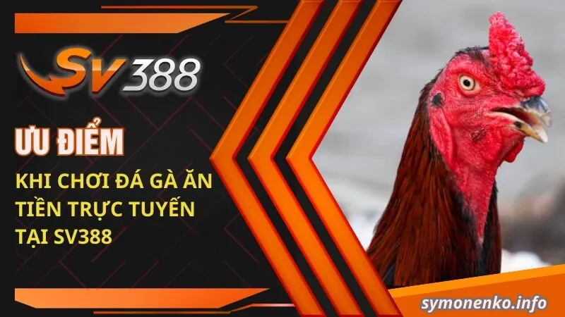 Ưu điểm khi chơi đá gà ăn tiền trực tuyến tại SV388