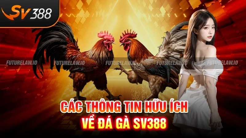 Các thông tin hữu ích về đá gà SV388