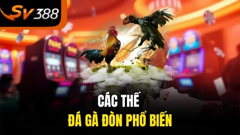 Đá Gà Đòn SV388 - Bí Quyết Chọn Kèo Chuẩn, Thắng Lớn Mỗi Ngày 3 Các thế đá gà đòn phổ biến