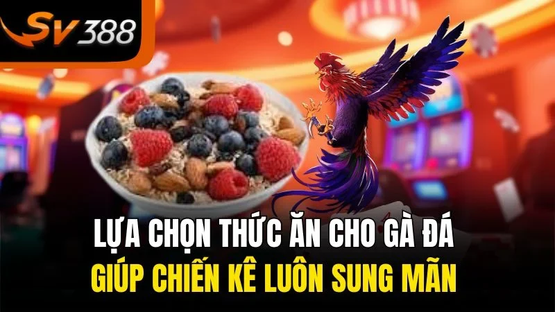 Lựa Chọn Thức Ăn Cho Gà Đá Giúp Chiến Kê Luôn Sung Mãn 9 lua chon thuc an cho ga da giup chien ke luon sung man